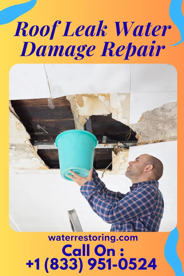 Roof Leak Water Damage Repair in Winner, SD